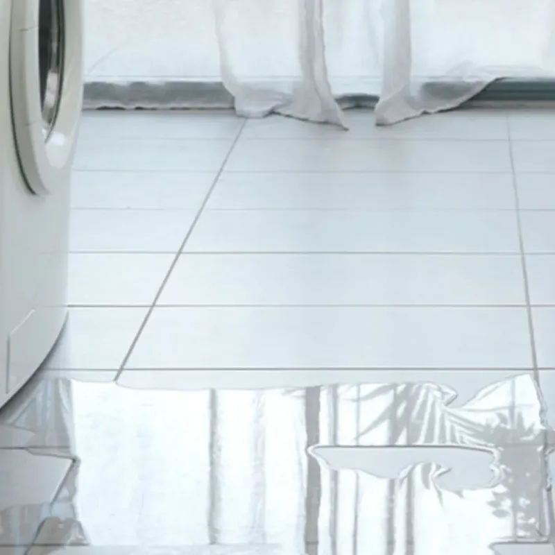 Appliance Leak Cleanup in Greenfield, MO